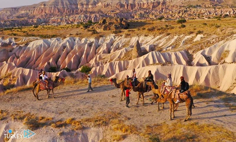 Camel tour in Cappadocia